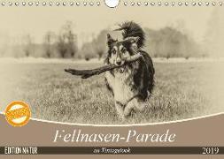 Fellnasen-Parade im Vintagelook (Wandkalender 2019 DIN A4 quer)