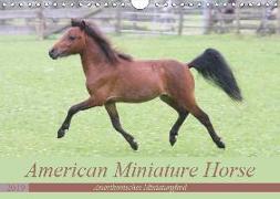 American Miniature Horse (Wandkalender 2019 DIN A4 quer)