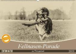 Fellnasen-Parade im Vintagelook (Wandkalender 2019 DIN A2 quer)