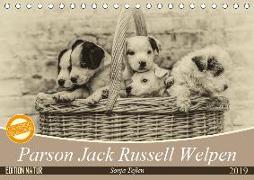 Parson Jack Russel Welpen (Tischkalender 2019 DIN A5 quer)