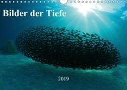 Bilder der Tiefe 2019 (Wandkalender 2019 DIN A4 quer)