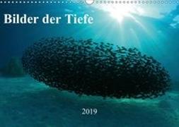 Bilder der Tiefe 2019 (Wandkalender 2019 DIN A3 quer)