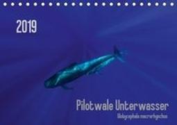 Pilotwale Unterwasser - Globicephala macrorhynchus (Tischkalender 2019 DIN A5 quer)