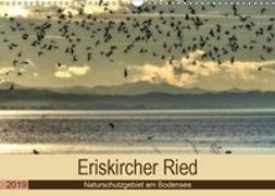 Eriskircher Ried - Naturschutzgebiet am Bodensee (Wandkalender 2019 DIN A3 quer)