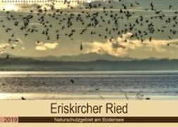 Eriskircher Ried - Naturschutzgebiet am Bodensee (Wandkalender 2019 DIN A2 quer)