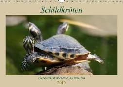 Schildkröten - Gepanzerte Wesen aus Urzeiten (Wandkalender 2019 DIN A3 quer)