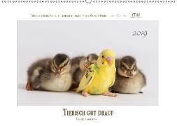 Tierisch gut drauf - Tierfreundschaften (Wandkalender 2019 DIN A2 quer)