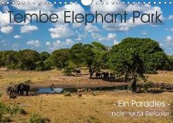 Tembe Elephant Park. Ein Paradies - nicht nur für Elefanten (Wandkalender 2019 DIN A4 quer)