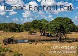Tembe Elephant Park. Ein Paradies - nicht nur für Elefanten (Wandkalender 2019 DIN A3 quer)
