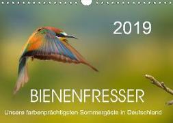 Bienenfresser, unsere farbenprächtigsten Sommergäste in Deutschland (Wandkalender 2019 DIN A4 quer)