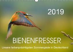 Bienenfresser, unsere farbenprächtigsten Sommergäste in Deutschland (Wandkalender 2019 DIN A3 quer)