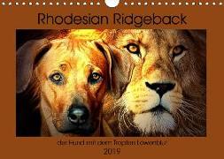 Rhodesian Ridgeback - der Hund mit dem Tropfen Löwenblut (Wandkalender 2019 DIN A4 quer)