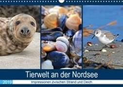 Tierwelt an der Nordsee 2019 (Wandkalender 2019 DIN A3 quer)
