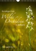 Im richtigen Licht: Wilde Orchideen in Südbayern (Wandkalender 2019 DIN A4 hoch)