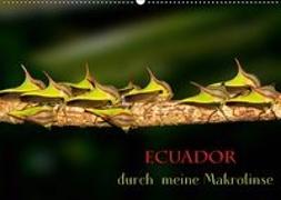 Ecuador durch meine Makrolinse (Wandkalender 2019 DIN A2 quer)