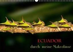 Ecuador durch meine Makrolinse (Wandkalender 2019 DIN A3 quer)