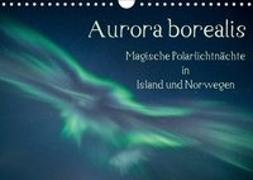 Aurora borealis - Magische Polarlichtnächte in Island und Norwegen (Wandkalender 2019 DIN A4 quer)
