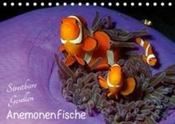 Anemonenfische - Streitbare Gesellen (Tischkalender 2019 DIN A5 quer)