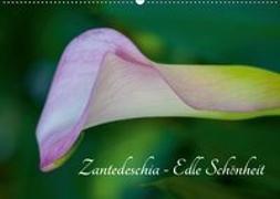 Zantedeschia - Edle Schönheit (Wandkalender 2019 DIN A2 quer)