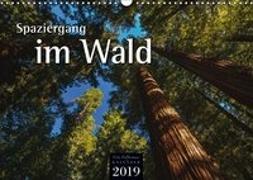 Spaziergang im Wald (Wandkalender 2019 DIN A3 quer)