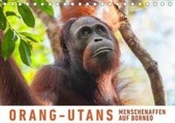 Orang-Utans Menschenaffen auf Borneo (Tischkalender 2019 DIN A5 quer)