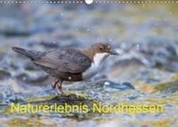 Naturerlebnis Nordhessen (Wandkalender 2019 DIN A3 quer)