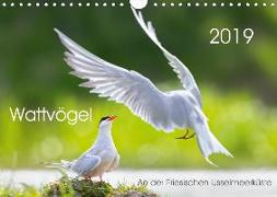 Wattvögel an der Friesischen IJsselmeerküste (Wandkalender 2019 DIN A4 quer)