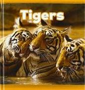 TIGERS