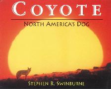 Coyote