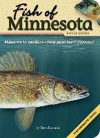 Fish of Minnesota Field Guide