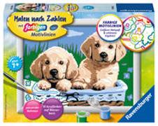 Ravensburger Malen nach Zahlen 27839 - Süße Hundewelpen – Kinder ab 7 Jahren