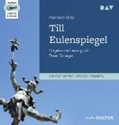 Till Eulenspiegel. Ein kurzweiliges Buch von Till Eulenspiegel aus dem Lande Braunschweig in 96 Historien