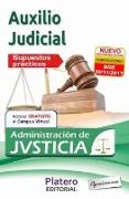 Auxilio Judicial de la Administración de Justicia : supuestos prácticos