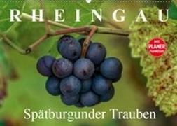 Rheingau - Spätburgunder Trauben (Wandkalender 2019 DIN A2 quer)