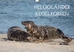 Helgoländer Kegelrobben (Wandkalender 2019 DIN A3 quer)