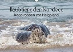 Raubtier der Nordsee - Kegelrobben vor Helgoland (Wandkalender 2019 DIN A3 quer)