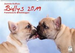 Bullys - Französische Bulldoggen 2019 (Wandkalender 2019 DIN A2 quer)