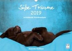 Süße Träume 2019 - schlafende Hundewelpen (Wandkalender 2019 DIN A3 quer)