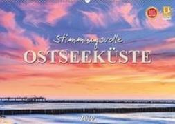 Stimmungsvolle Ostseeküste 2019 (Wandkalender 2019 DIN A2 quer)