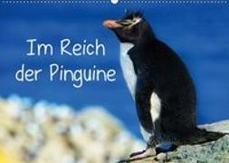 Im Reich der Pinguine (Wandkalender 2019 DIN A2 quer)