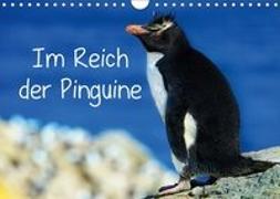 Im Reich der Pinguine (Wandkalender 2019 DIN A4 quer)
