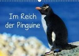 Im Reich der Pinguine (Wandkalender 2019 DIN A3 quer)