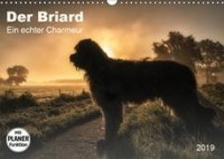 Der Briard 2019 - Ein echter Charmeur (Wandkalender 2019 DIN A3 quer)