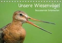 Unsere Wiesenvögel - Bezaubernde Schönheiten (Tischkalender 2019 DIN A5 quer)