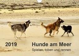 Hunde am Meer - Spielen, toben und rennen (Wandkalender 2019 DIN A4 quer)