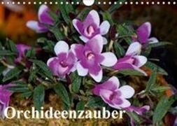 Orchideenzauber (Wandkalender 2019 DIN A4 quer)