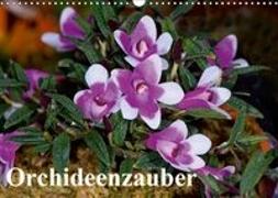 Orchideenzauber (Wandkalender 2019 DIN A3 quer)