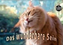 Das wunderbare Sein (Wandkalender 2019 DIN A2 quer)