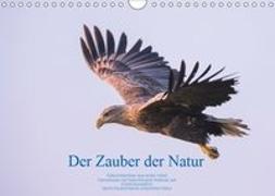 Der Zauber der Natur (Wandkalender 2019 DIN A4 quer)