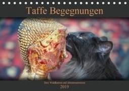 Taffe Begegnungen-Drei Waldkatzen auf Abenteuerreisen (Tischkalender 2019 DIN A5 quer)